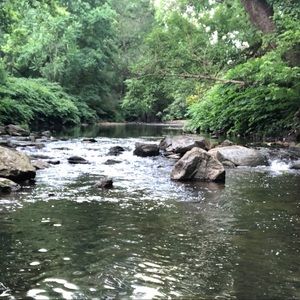 Meet your Posher, Lacylynn